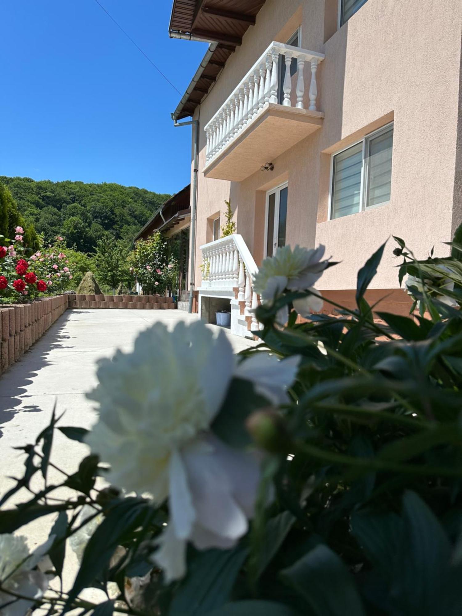 Teo Holiday home *